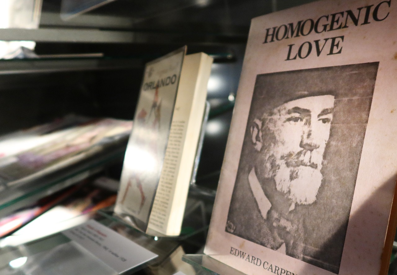 An angle shot of two books, 'Homogenic Love' and 'Orlando' in dim spotlight