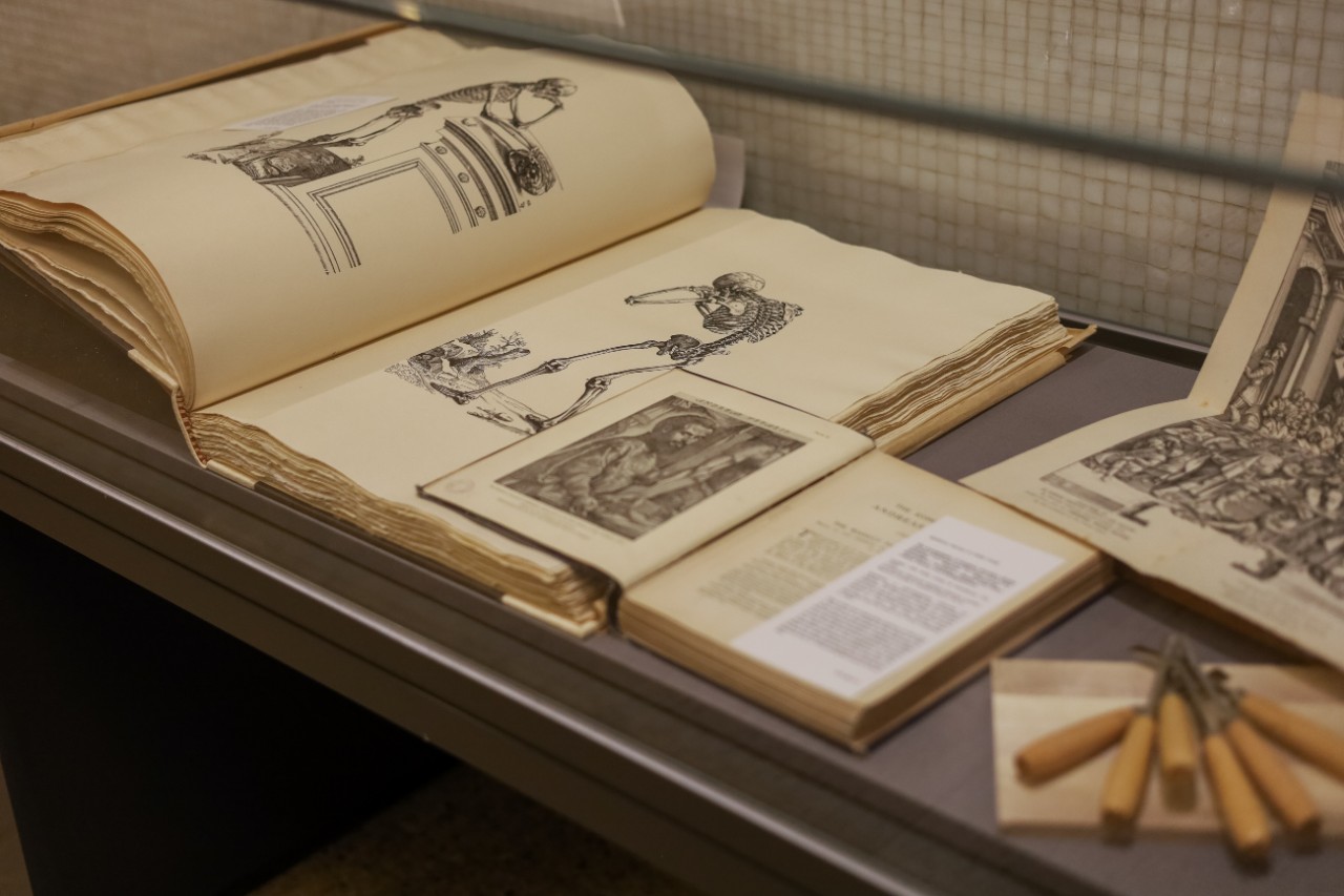 An array of open books with illustrations inside a glass cabinet.