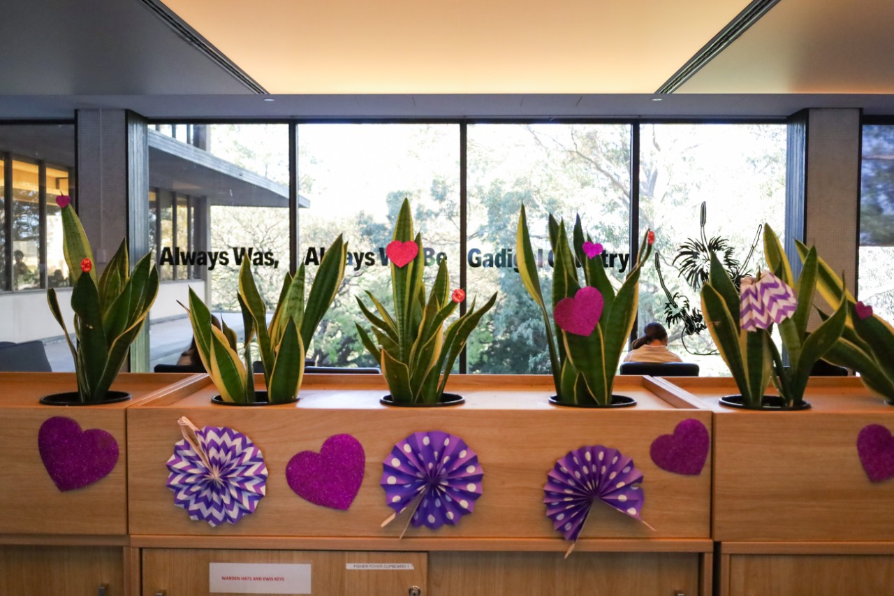Purple decorations at Library service point