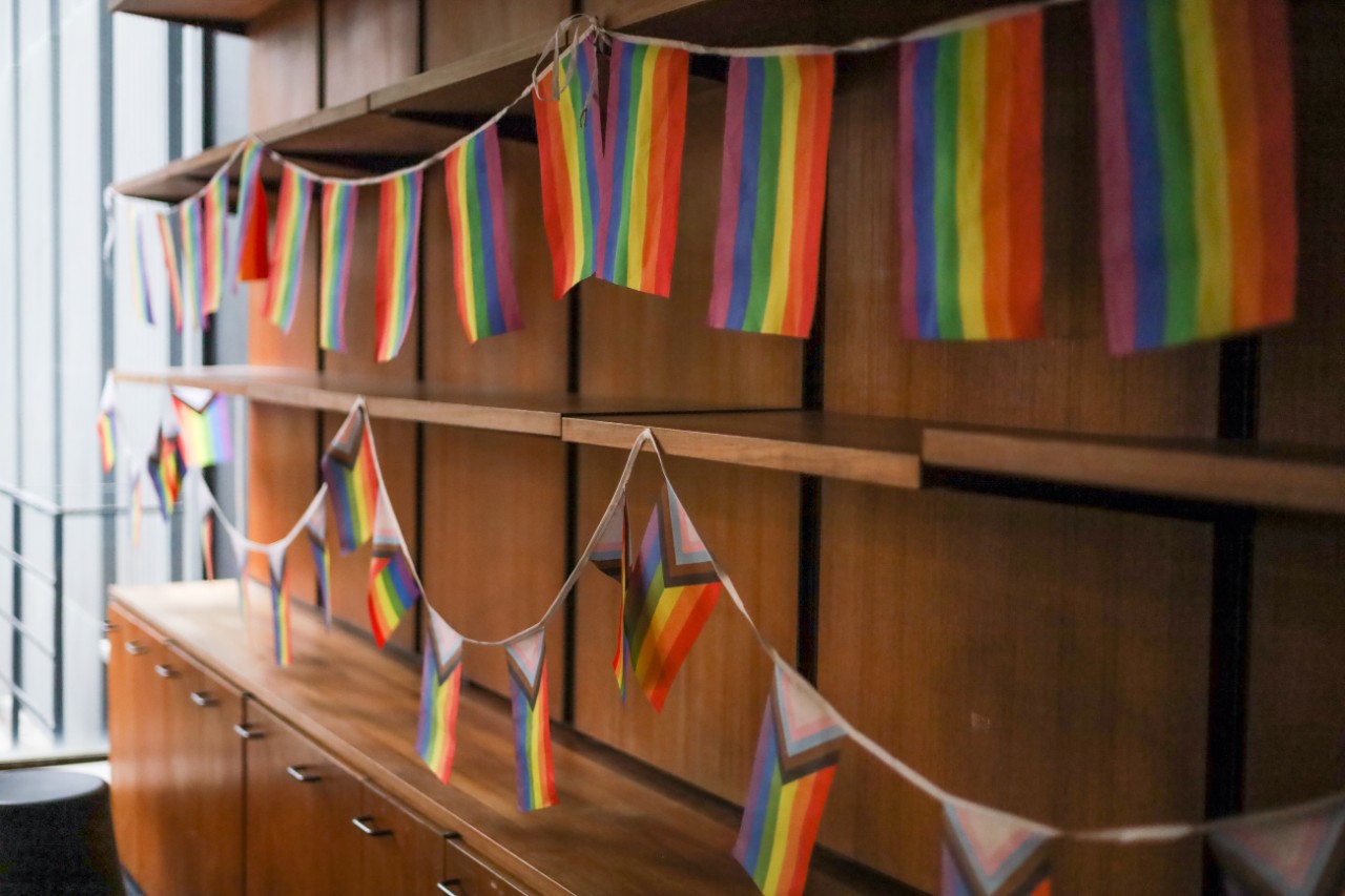Bunting with the rainbow progress flag